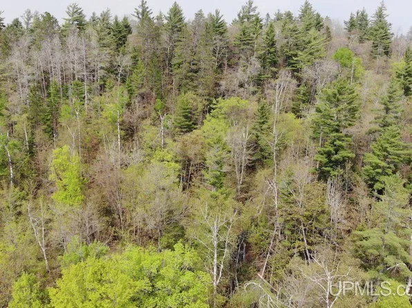 Co Rd, Ishpeming, MI 49849