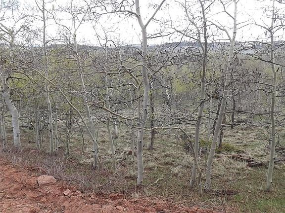 4th image of 824 Palmer Peak Dr