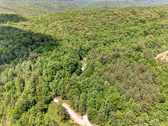 42nd image of 4912 Honey Creek Loop Rd