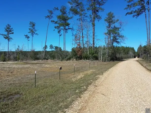TRACT 1C Teal McDaniel Rd, Independence, LA 70443