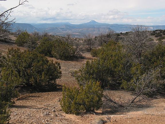 Pedernal in the distance