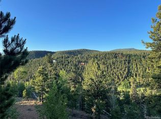 132 Lallie Rd, Bailey, CO 80421