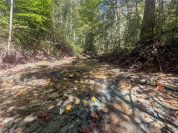 N Buttermilk Hill Rd NW, McConnelsville, OH 43756