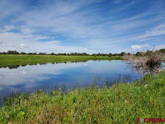 4th image of 13670 Transfer Road