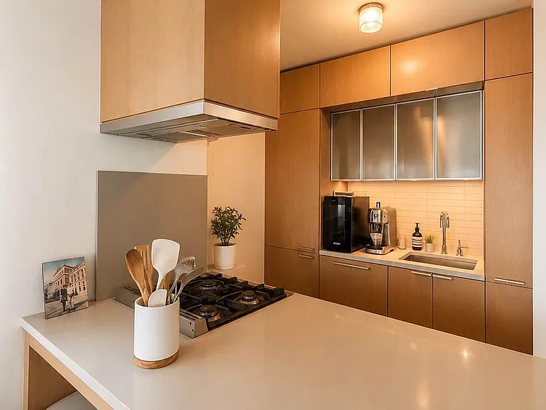 225 Rector Pl #12K — Photo 4