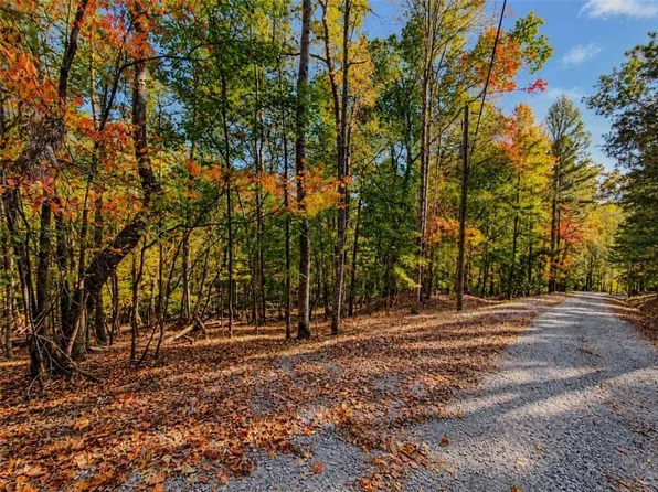 LOT 31 Opal Ln #3118, Ellijay, GA 30540