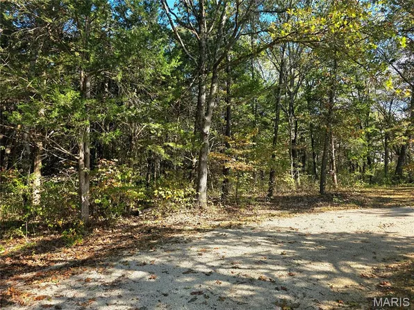 728 Cedar Ln, Leslie, MO 63056