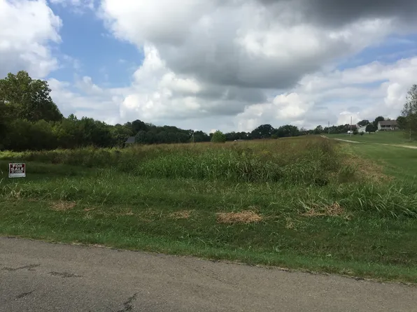5764 Henry Gower Rd, Pleasant View, TN 37146