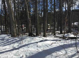 Lots 228 & Golfview, Roscommon, MI 48653