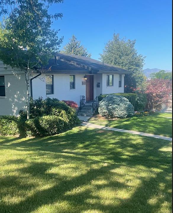 Front of property in summer