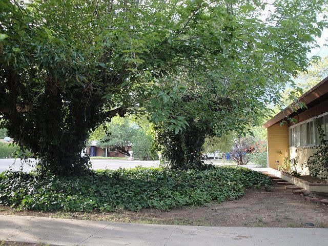 1st image of 3328 N Stewart Ave