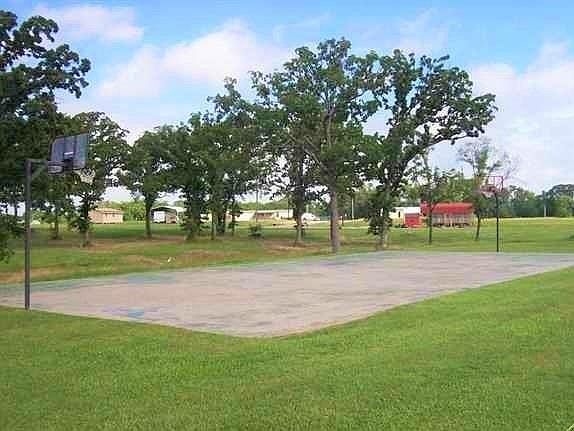 4th image of Lot 178 White Dove Lot 178
