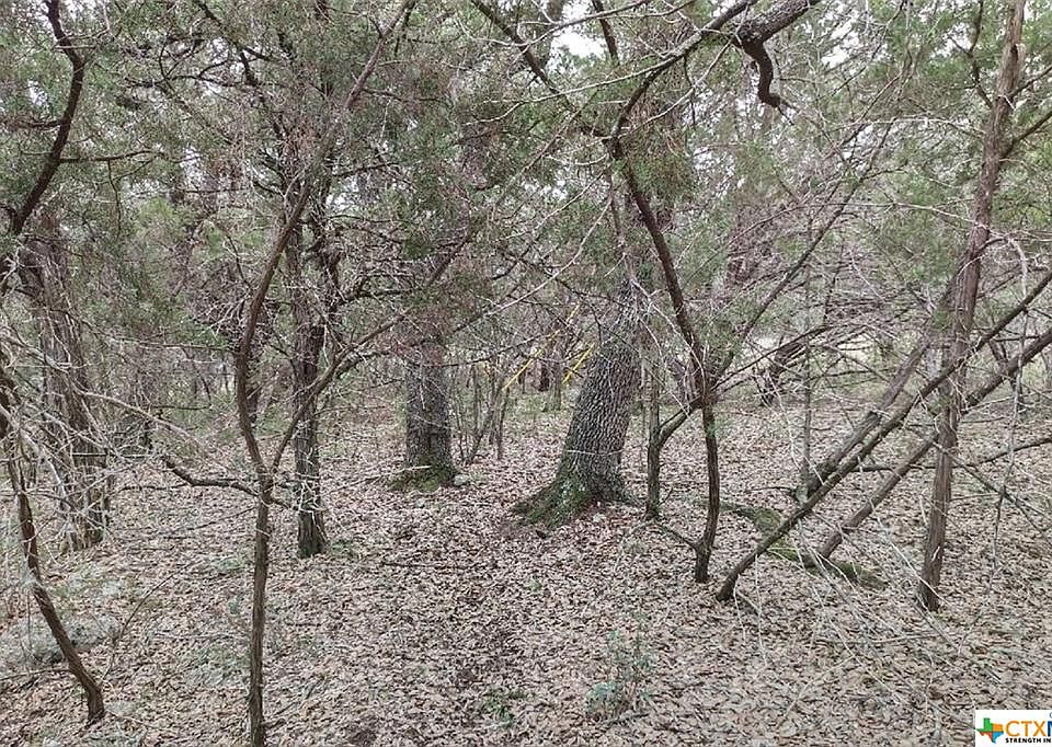1st image of 1206 Canyon Lake Dr