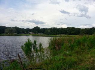 12401 Patsy Acres Dr, Odessa, FL 33556