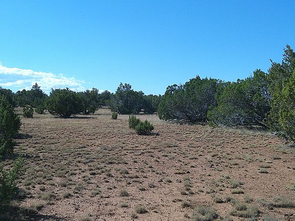 3rd image of 96 County Road 8068 Dr