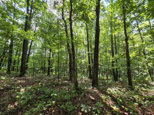 12 Valley View Dr Lot 12, Altamont, TN 37301
