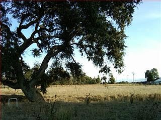 2nd image of 10430 Guibal Ave