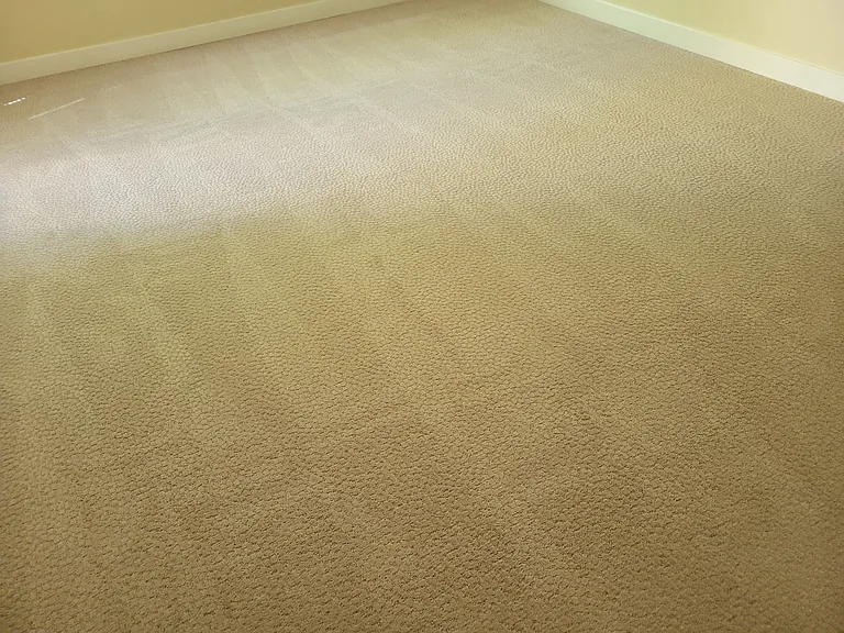 111 108th Ave NE #206 — Photo 23