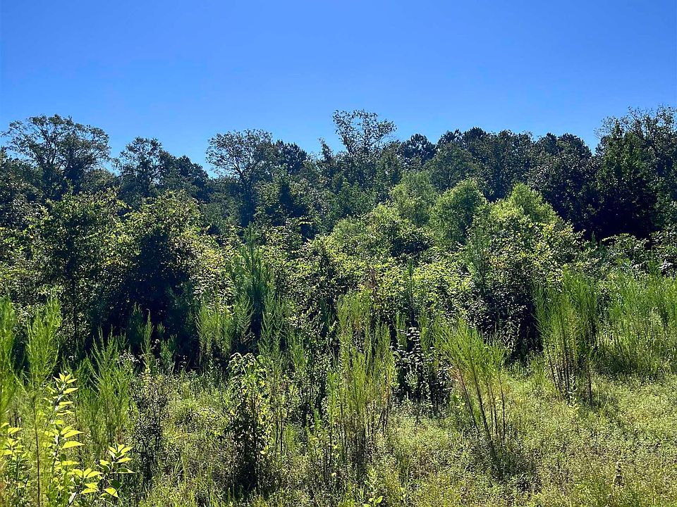 0 Forrest Kay Rd, Bernice, LA 71222 MLS 207005 Zillow