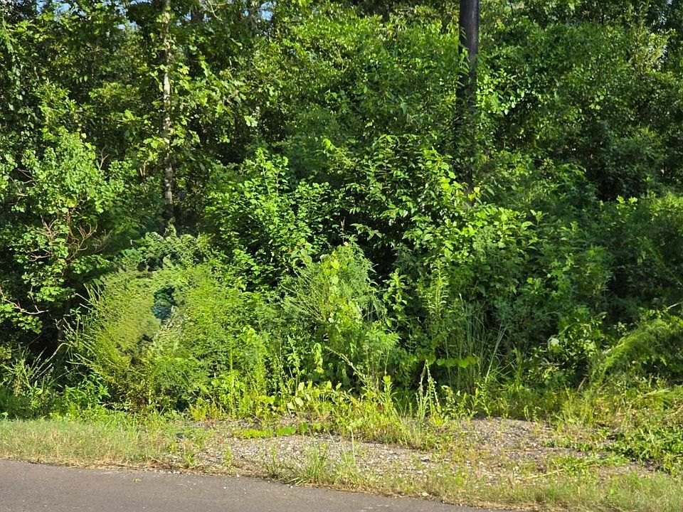 2nd image of Andrew Mouhot Rd