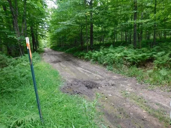 Old 139 Rd, Argonne, WI 54511