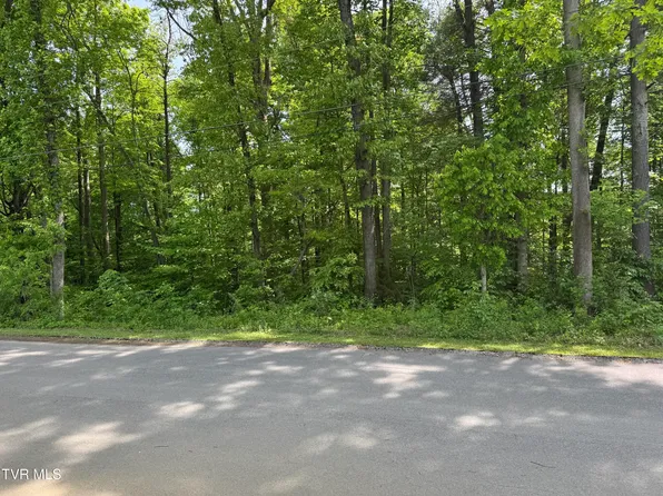 5 Parrish Dr, Greeneville, TN 37743