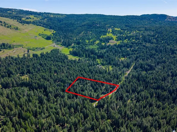 45 Spring Meadow Lane, Oroville, WA 98844