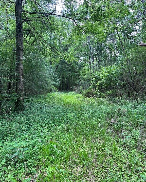 1st image of Passman Rd