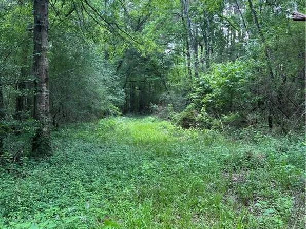 Passman Rd, Loranger, LA 70446