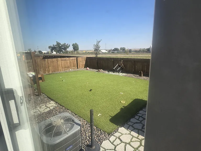 Backyard/Turf