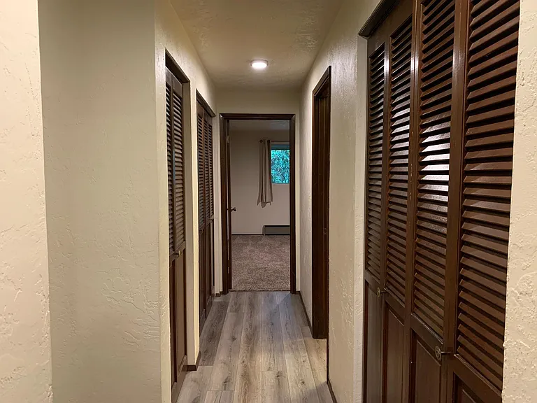 STORAGE galore! 3 closets in this hallway lead to the rear master bedroom: W/D hookups are at left in a large hallway closet, plus 2 more hall closets w/built in's. No wasted spaces!
