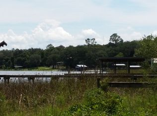 0 Ne 130th Street Road, FORT MCCOY, FL 32134