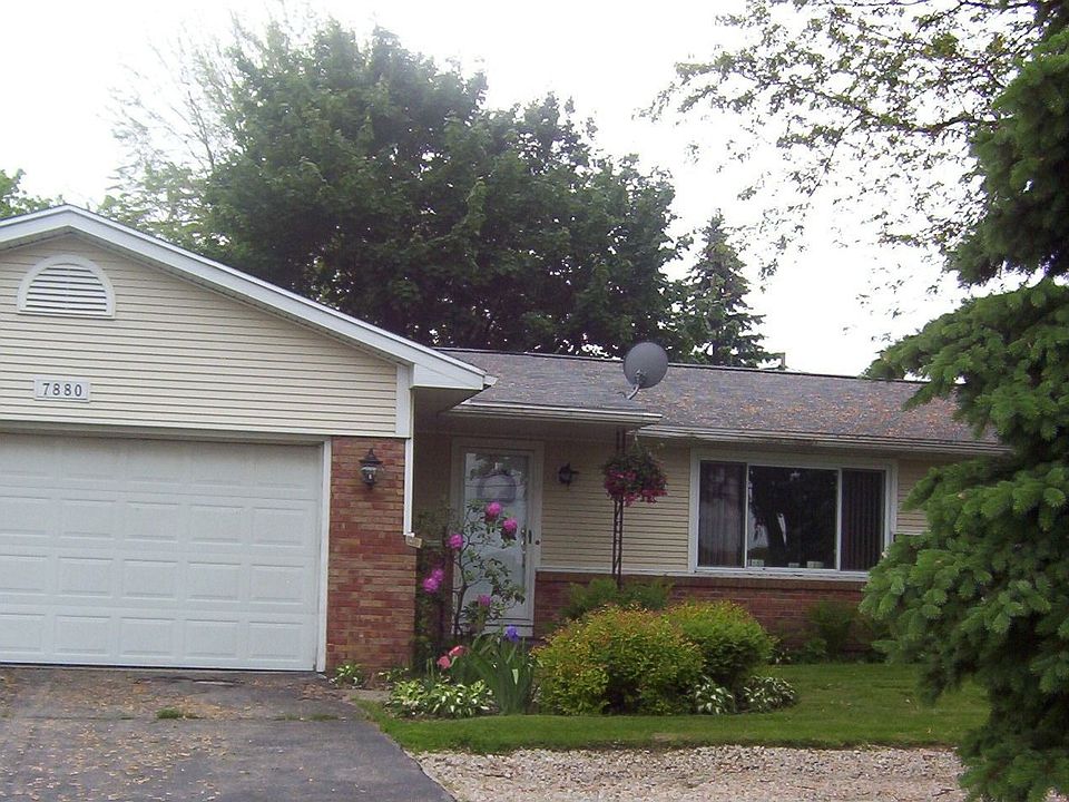Summer - front view