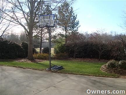 View of backyard