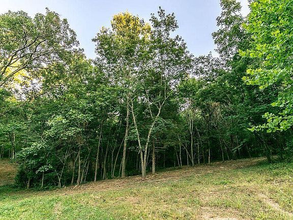 3rd image of Lot 2 Ph 2 Misty River Subdivision