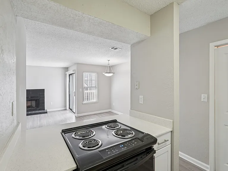 Veridian at Sandy Springs — Photo 29