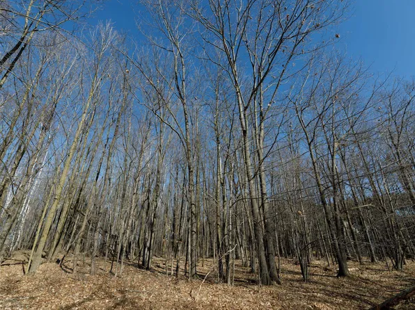 Pine View Dr, Pulaski, WI 54162