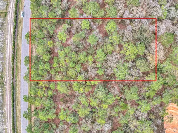 10040 Isaacson Ave, Hastings, FL 32145