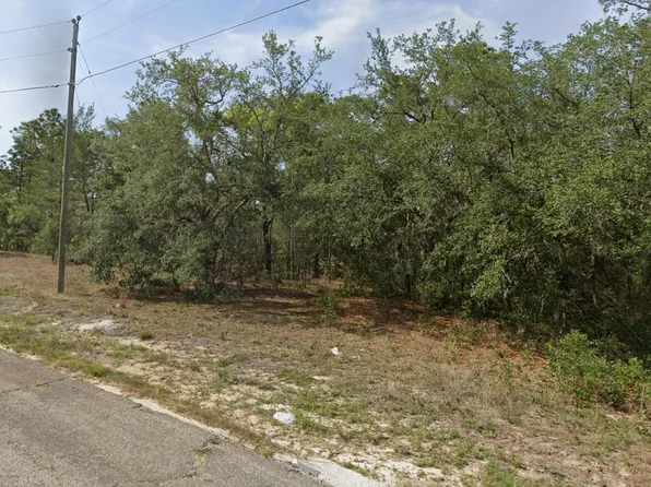 6940 N Lime Dr, Citrus Springs, FL 34433