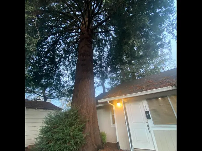 Humboldt St — Photo 13