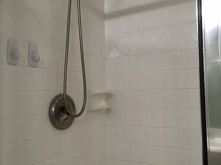 Master bedroom shower
