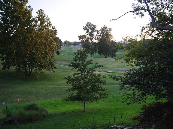 backyard view