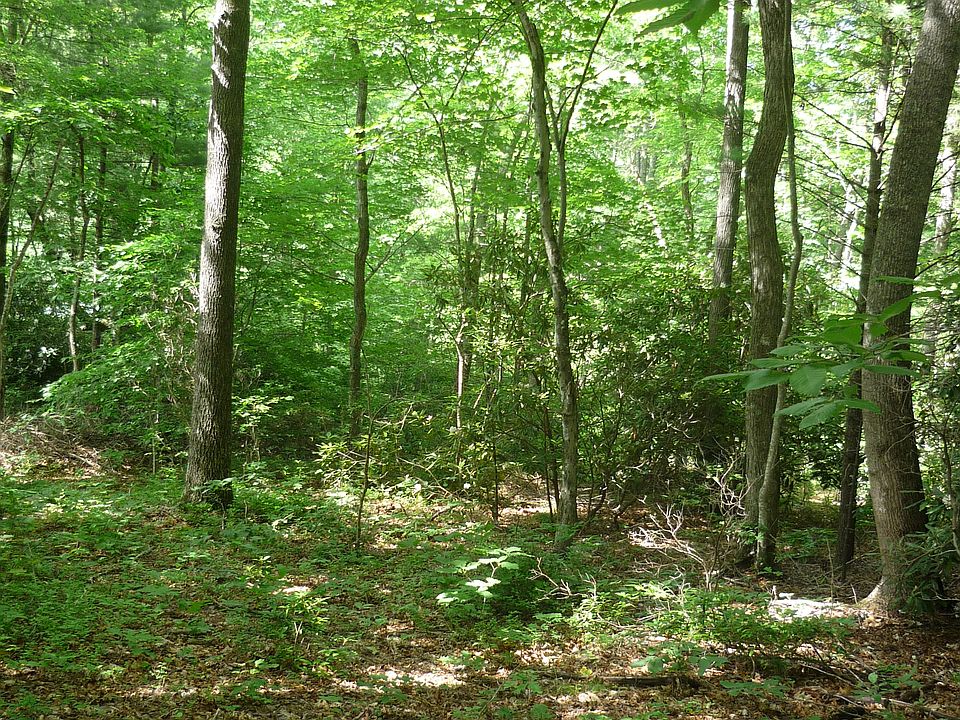 2nd image of 175 Shope Creek Rd