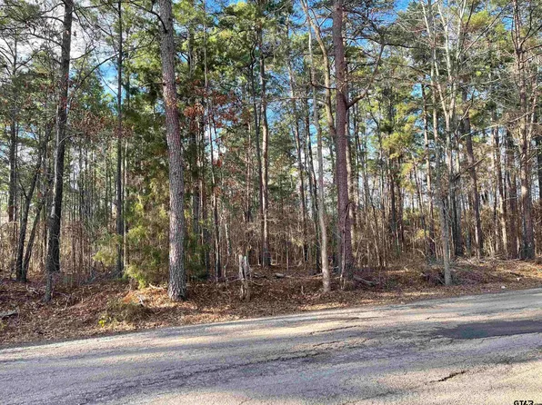 County Road 2160, Troup, TX 75789