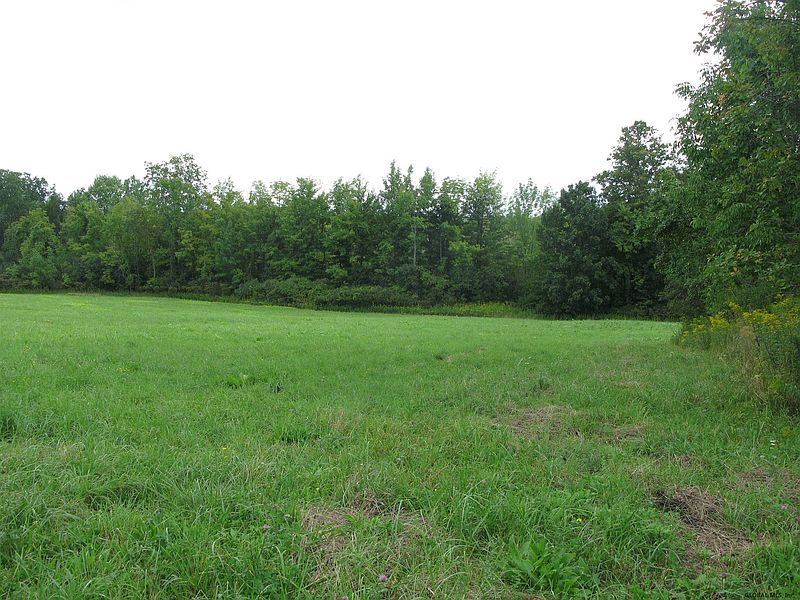 4th image of 0 CORBIN HILL Road