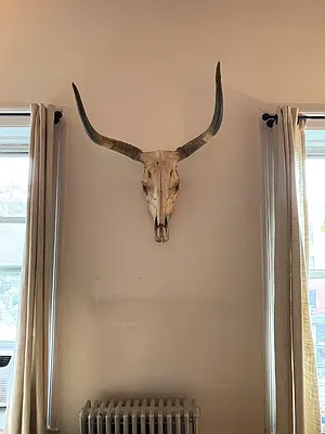 Rented by Realty Collective | media 11