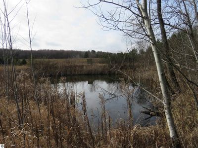0 N 43 1/4 Rd, Manton, MI, 49663