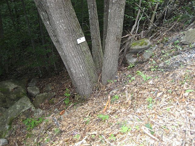 2nd image of 167 Raccoon Rd