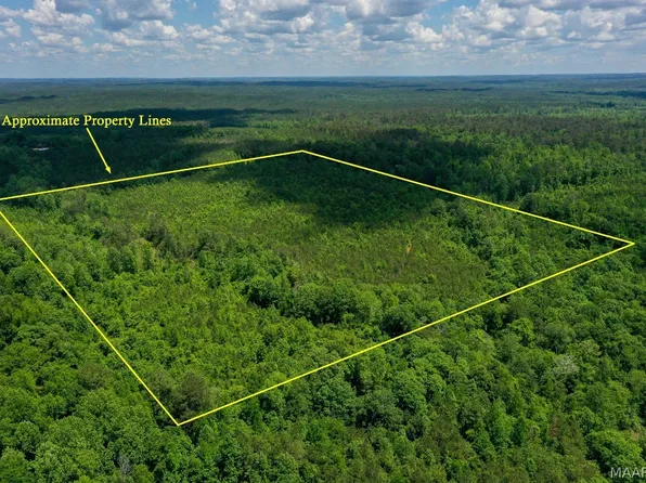 0 Albany Dr, Jackson, AL 36545