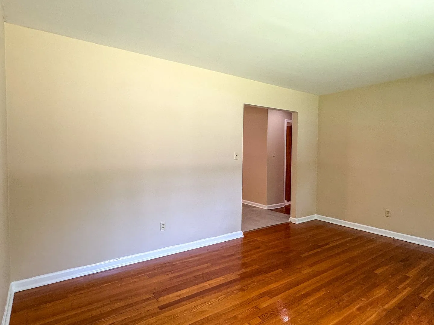 1004 S. Park Drive, Petersburg — Photo 4